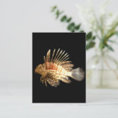 langoest briefkaart (Staand voorkant)