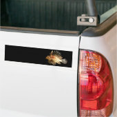 langoest bumpersticker (Op Truck)