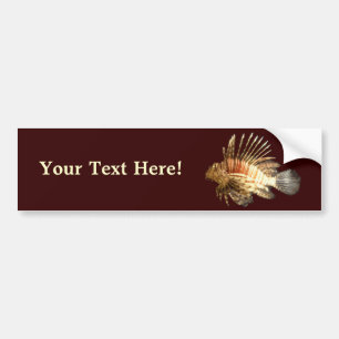 langoest bumpersticker