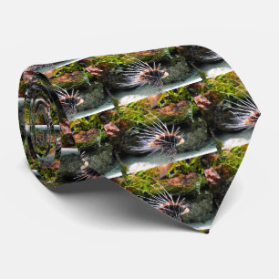 langoest stropdas