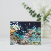 Langoesten op het Briefkaart van het Great Barrier (Staand voorkant)