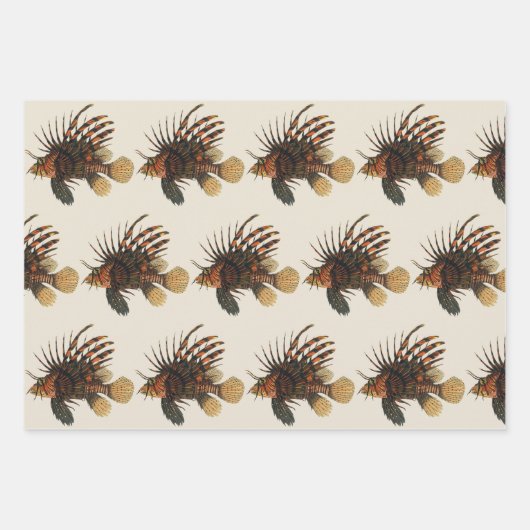 langoesten, zeedieren inpakpapier vel (Voorkant 3)