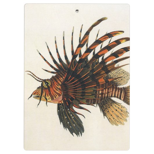 langoesten, zeedieren klembord (Achterkant)