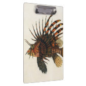 langoesten, zeedieren klembord (Rechts)