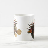  langoesten, zeedieren koffiemok (Center)