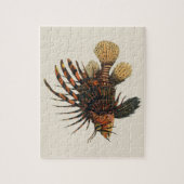 langoesten, zeedieren legpuzzel (Verticaal)