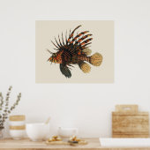  langoesten, zeedieren poster (Keuken)