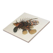  langoesten, zeedieren tegeltje (Zijkant)