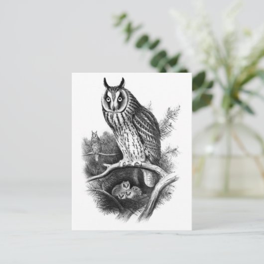 Langoorige orchestaarsketch briefkaart (Staand voorkant)