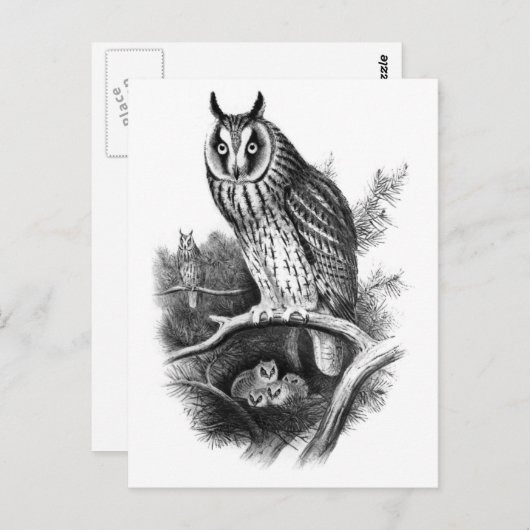 Langoorige orchestaarsketch briefkaart (Voorkant / Achterkant)