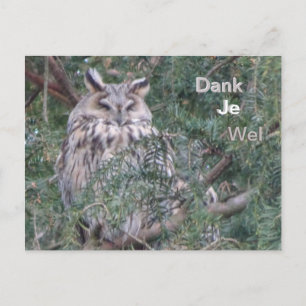 Langooruil Dank Je Postkaart
