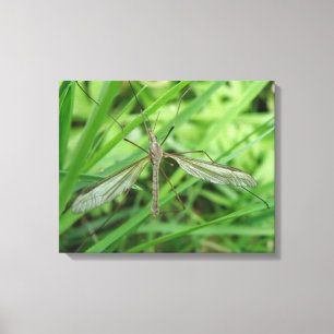 Langpootmug doekprint canvas afdruk