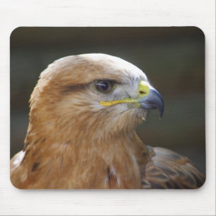 Langpotige buzzard muismat