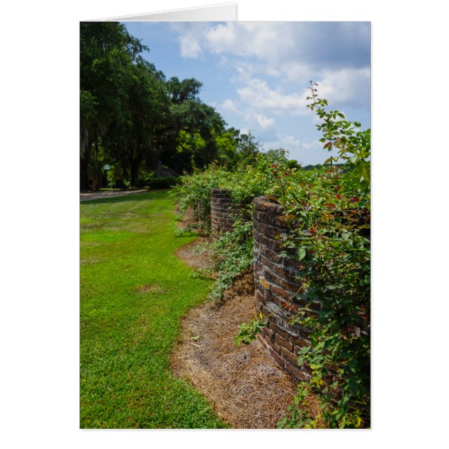 Langs de Gebogen Muur (Voorkant)