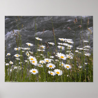 Langs de Stroom Poster