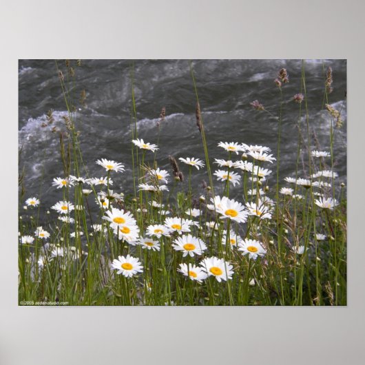 Langs de Stroom Poster (Voorkant)