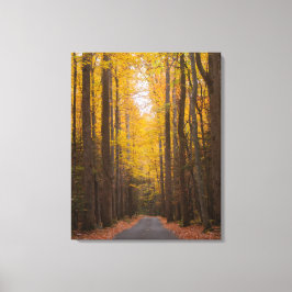 Langs de weg canvas afdruk