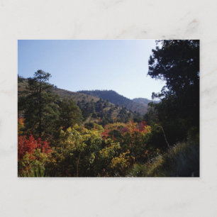 langs de weg - Canyons van Trail Briefkaart