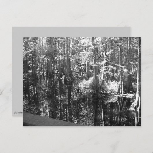 Langs het Briefkaart van de Bank (Voorkant / Achterkant)