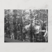 Langs het Briefkaart van de Bank (Voorkant)