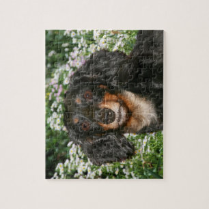 Langsnuitdachshund Legpuzzel