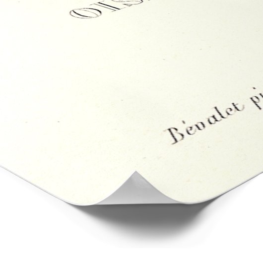 Langstaartgroene Humminbird van Antiek afdruk Poster (Hoek)