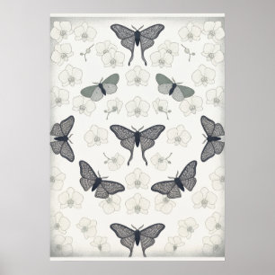 Langstaartmot Ivoor Orchidee Patroon Poster