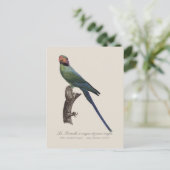 Langstaartparkiet, Psittacula Longicauda Briefkaart (Staand voorkant)