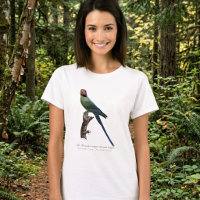 Langstaartparkiet, Psittacula Longicauda