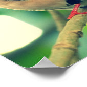 Langstaartvink Poster (Hoek)