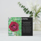 Langue de la carte postale Rose (Debout devant)