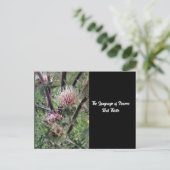Langue des fleurs Bulle de chardon carte postale (Debout devant)