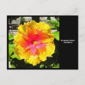 Langue des fleurs Carte postale Hibiscus jaune (Devant)