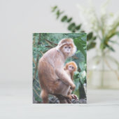 Langur Monkey Moeder & Baby Briefkaart (Staand voorkant)