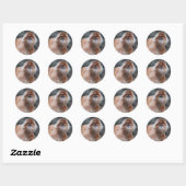 Langur Stickers (Vel)
