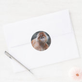 Langur Stickers (Envelop)