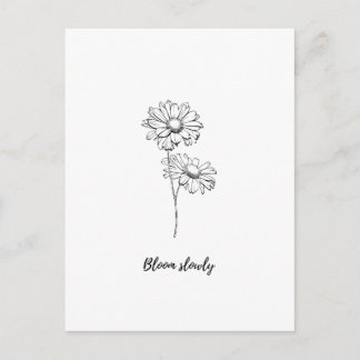 Langzaam Bloeiende Minimalistische Madeliefjes Blo Briefkaart