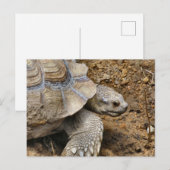 Langzaam Briefkaart (Voorkant / Achterkant)