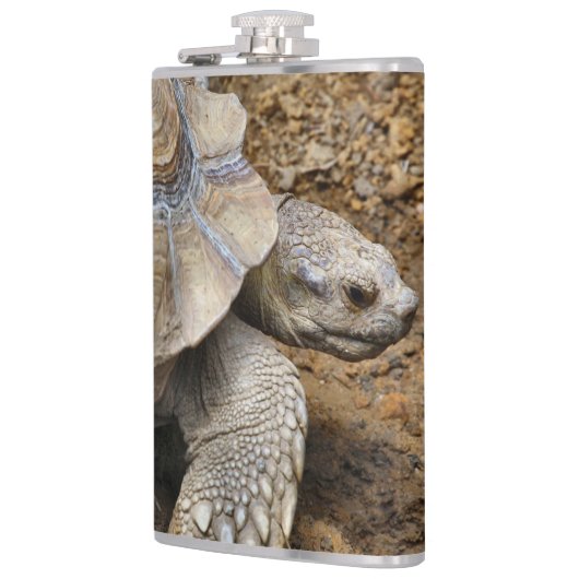 Langzaam Heupfles (Links)