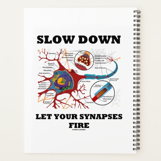 Langzaam, laat uw synapsen Neuron synapsen branden Planner (Achterkant)