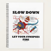 Langzaam, laat uw synapsen Neuron synapsen branden Planner (Voorkant)