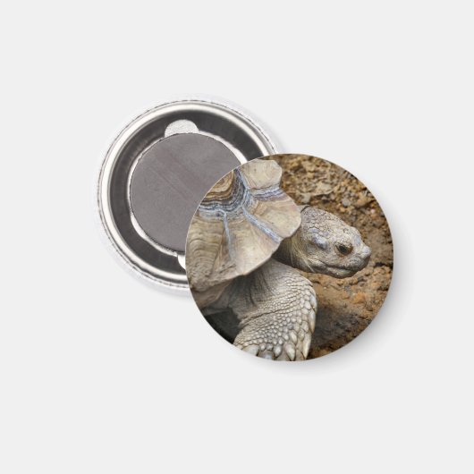 Langzaam Magneet (Voorkant / Achterkant)