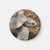 Langzaam Magneet (Voorkant)