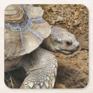 Langzaam Vierkante Kartonnen Onderzetter