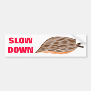 Langzame Bumpersticker