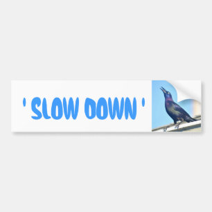 Langzame Bumpersticker vogel