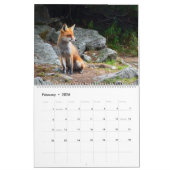 L'année du calendrier Fox (Feb 2026)