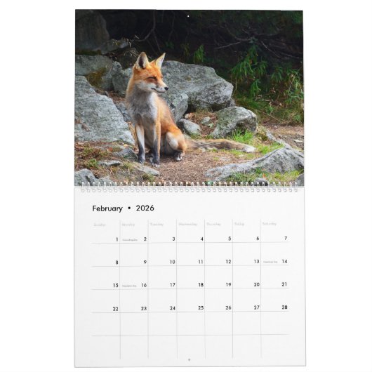 L'année du calendrier Fox (Feb 2026)