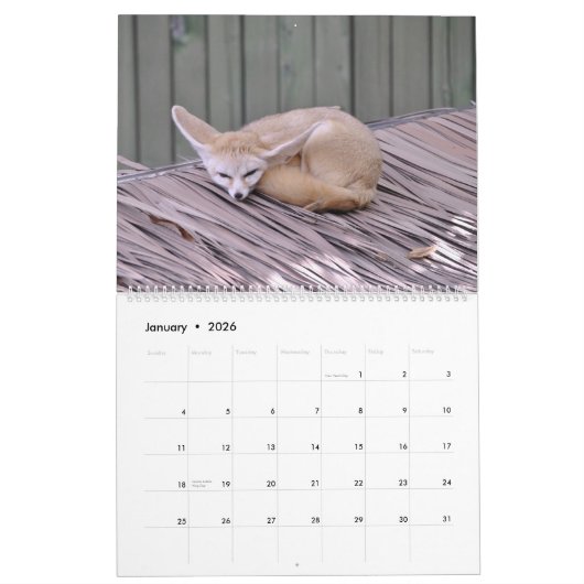 L'année du calendrier Fox (Jan 2026)