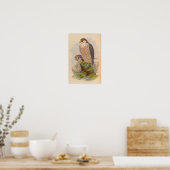 Lanner Falcon Bird Art Print (Keuken)
